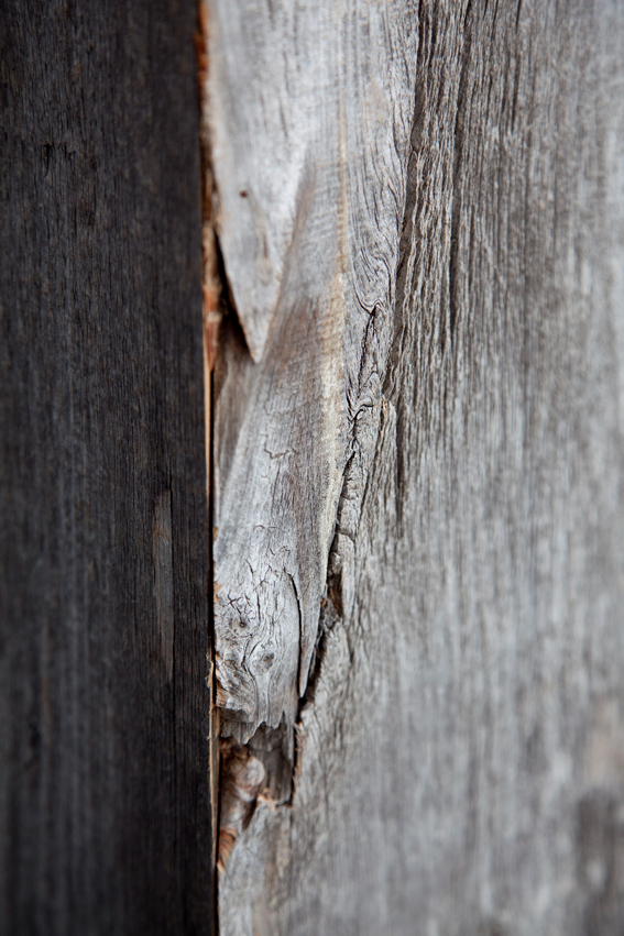 Afschilfering en vezelbreuk tonen de impact van langdurige weersbelasting