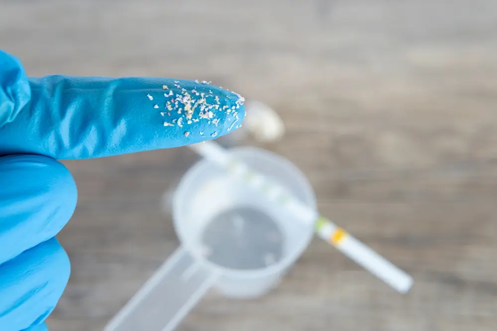 microplastics nanoplastics