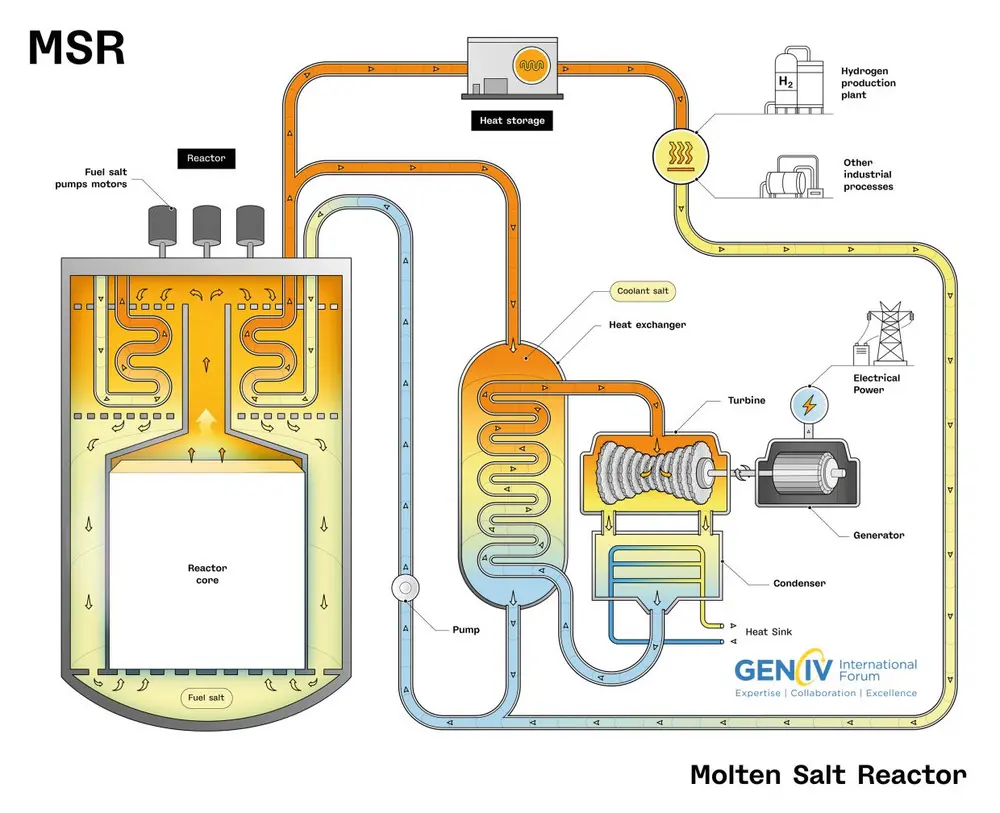 Molten Salt Reactor 