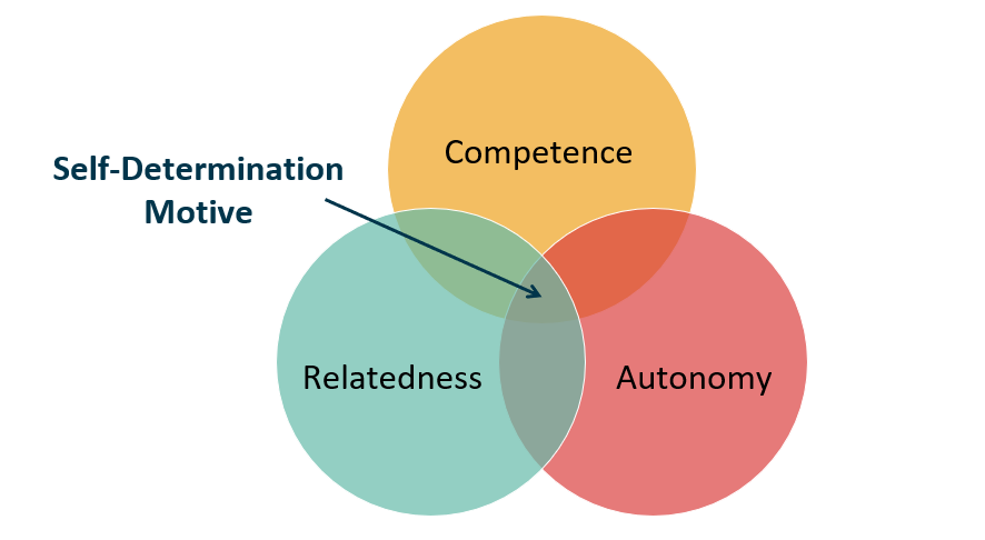 self determination theory