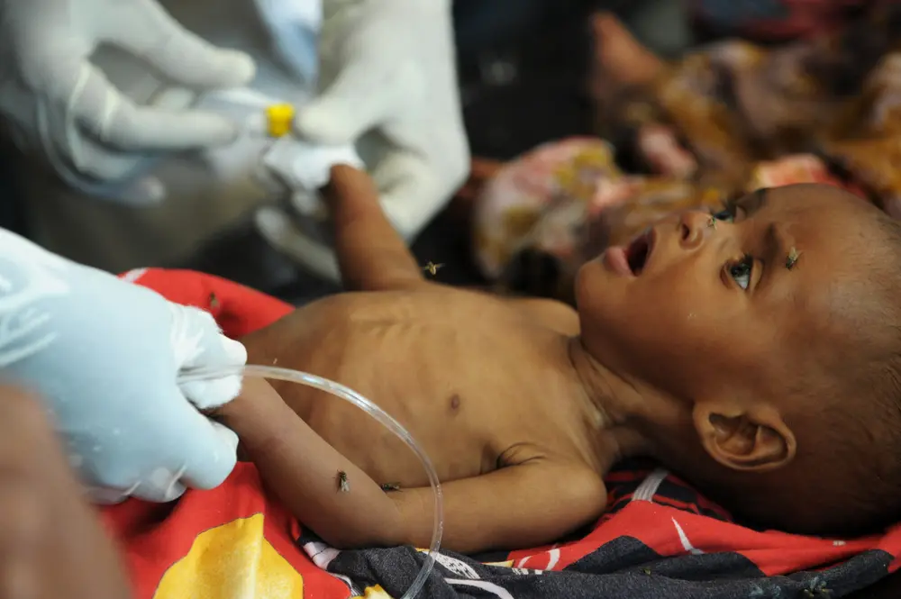 Faim, UNICEF, Afrique