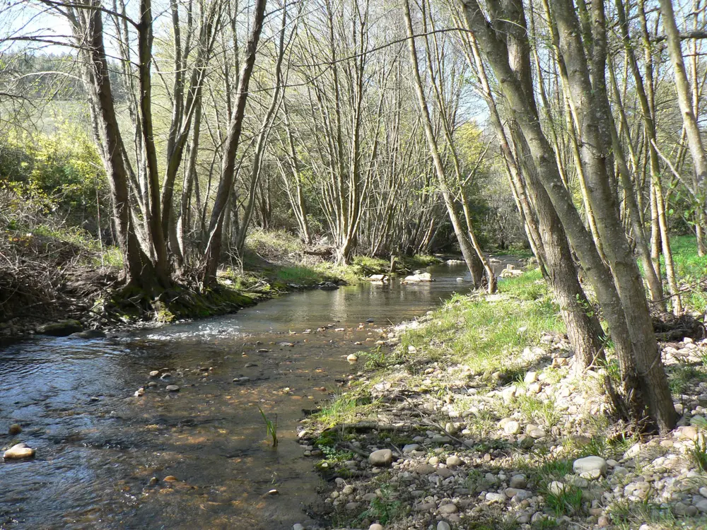 The Navigator Company