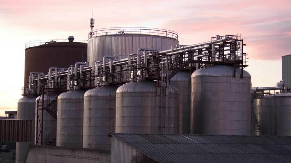 Uiteindelijk demonstreerde hij dat Equator in staat is om een uitgebreide correctheidscontrole van vergelijkingen door vijf eenvoudige foutieve voorbeelden te verwerken, die zijn gemodelleerd in de Equate-procesmodelleringstaal