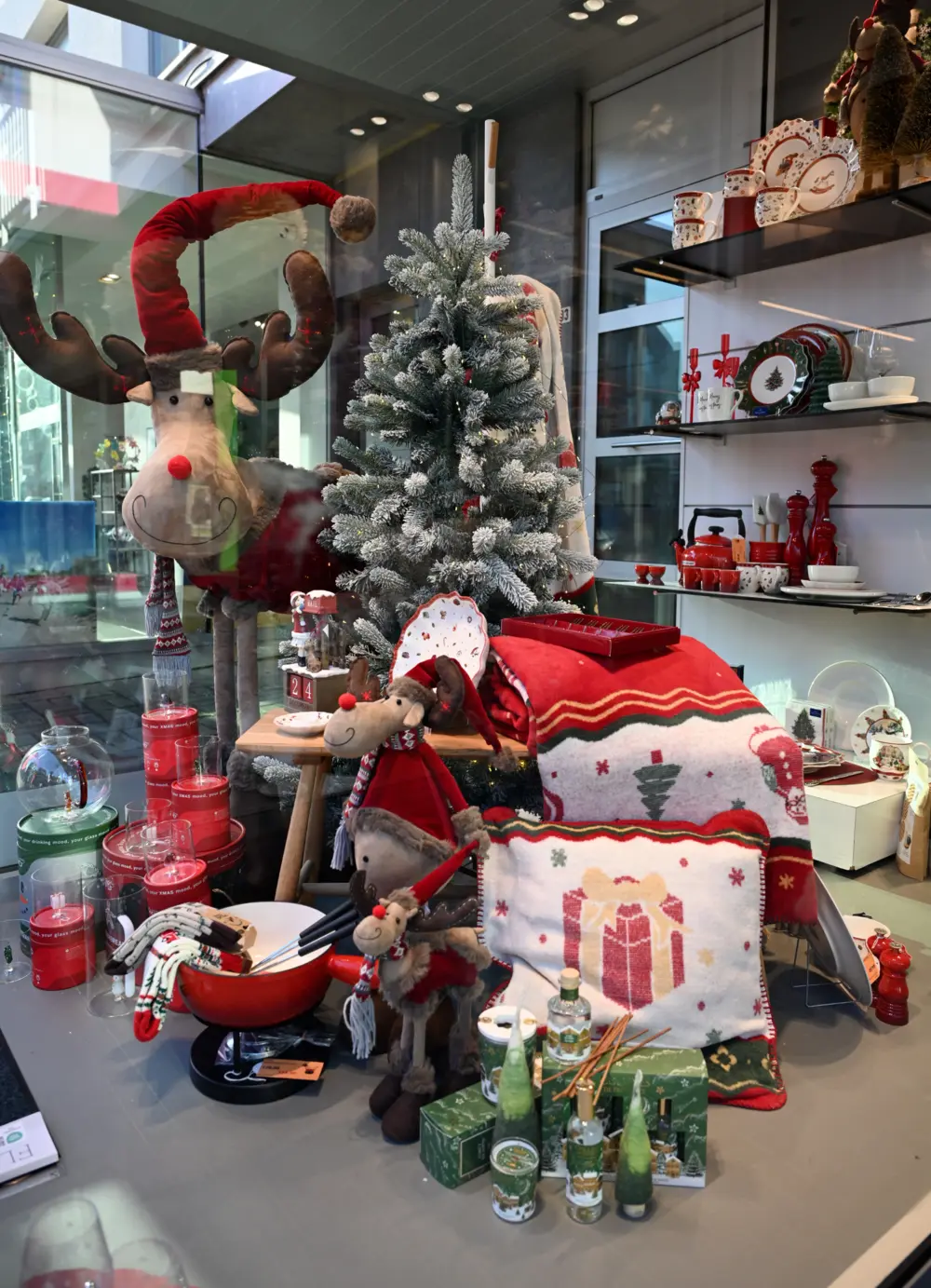 De Belgische gia-winnaar 2026: Panache (Koksijde) 4