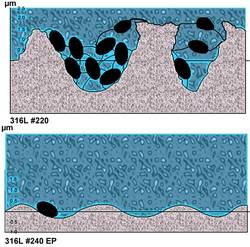 Bacteriën op rvs oppervlak