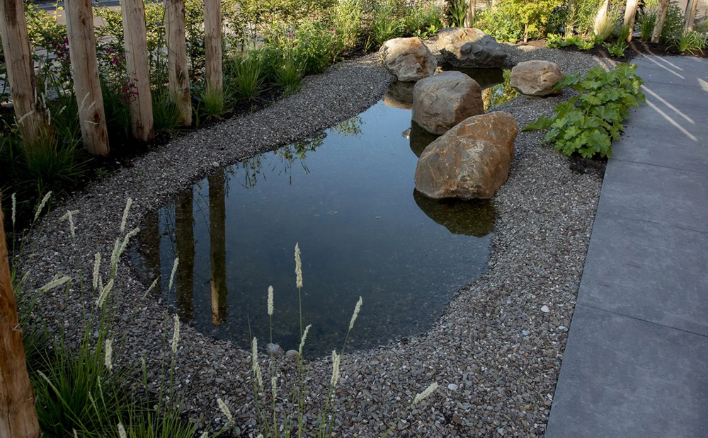 Geen wadi-plicht meer