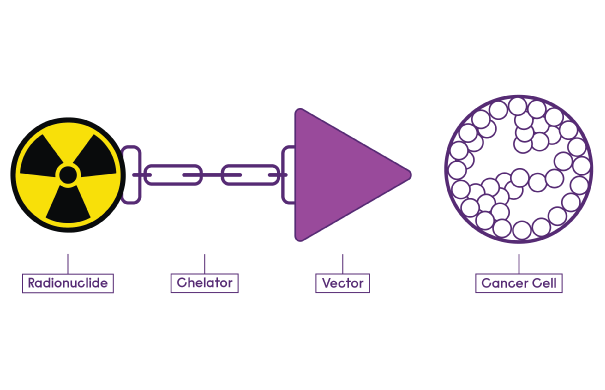 mechanisme radioligand