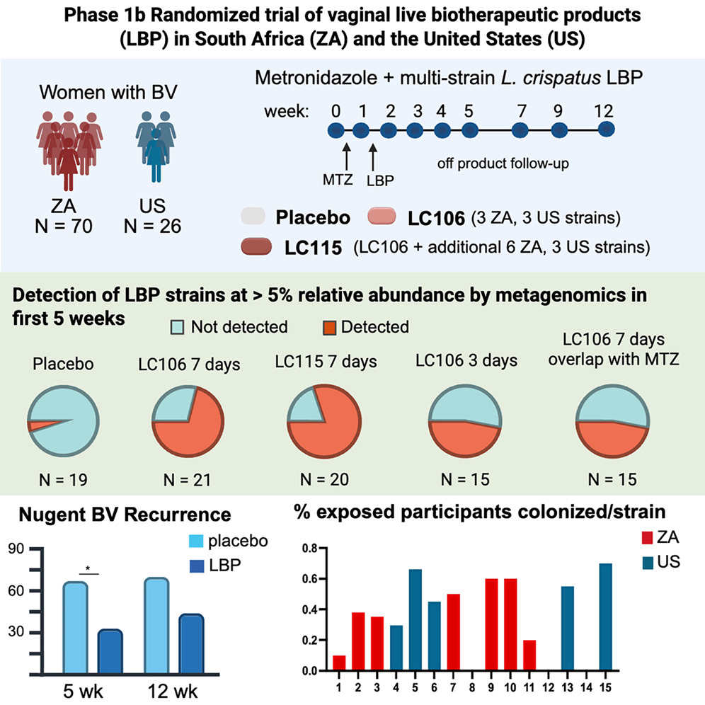 étude VIBRANT vaginose