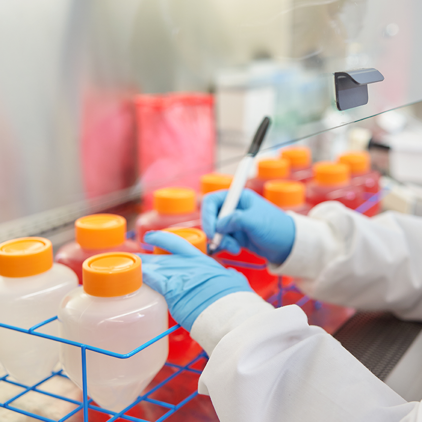 Kelonia Therapeutics