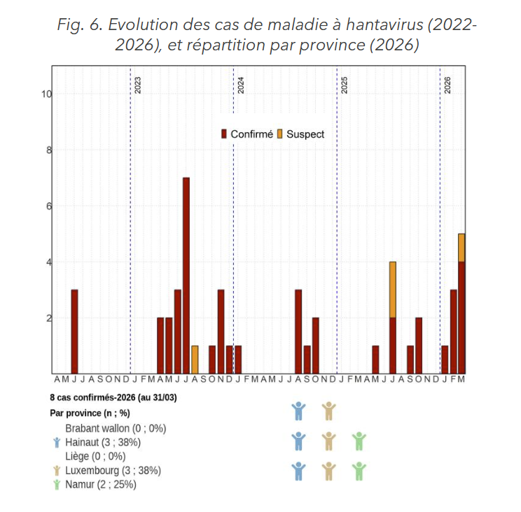 Hantavirus Wallonie 2026