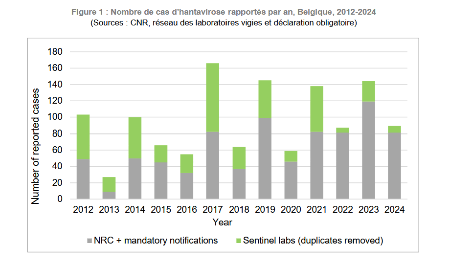 Hantavirus cas Belgique