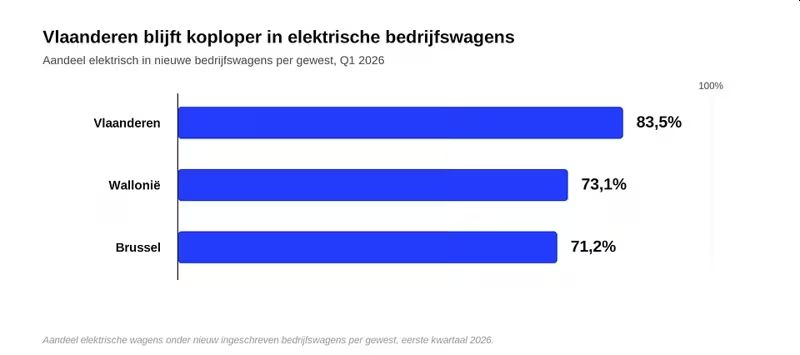 Elektrische bedrijfswagen domineert markt 4
