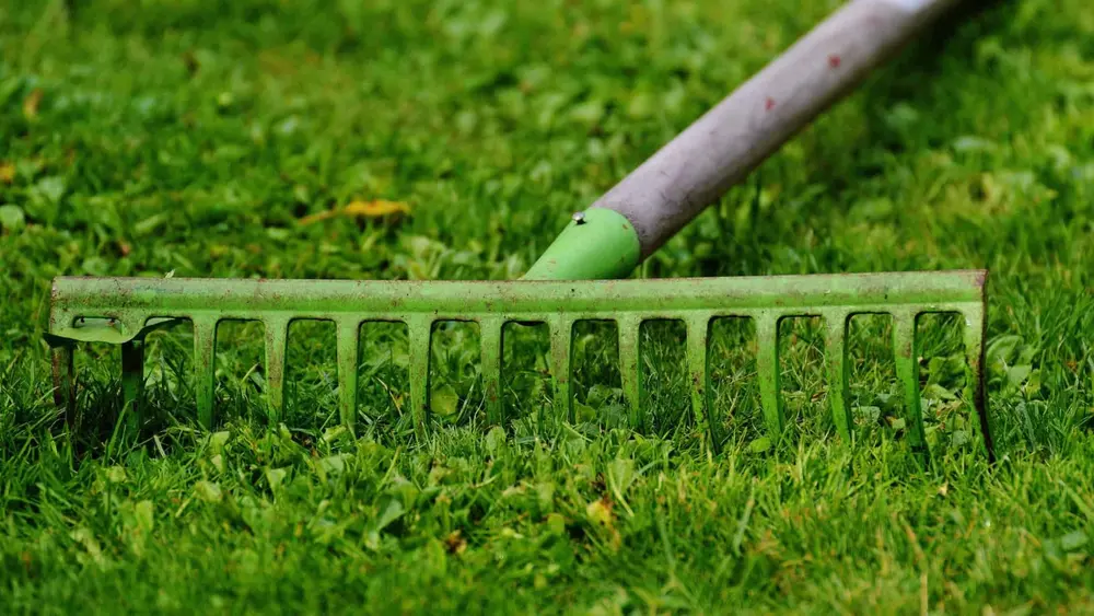 tuinhark steelgereedschappen