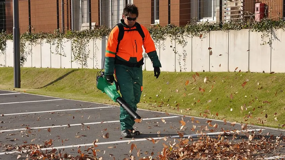 benzine best choice 1