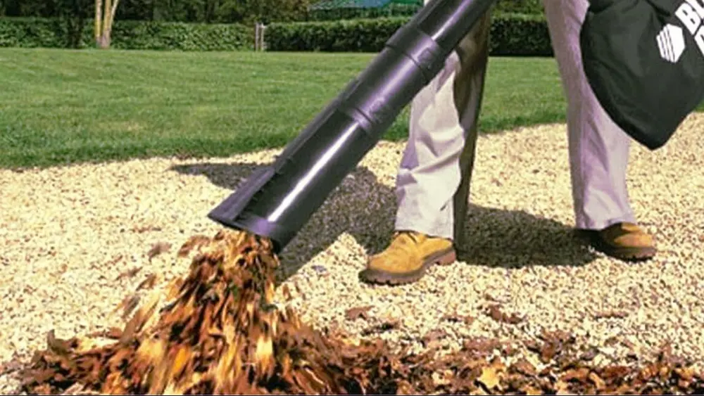 bladruimer best choice 1