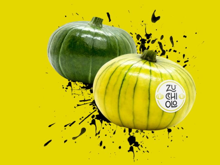 Zucchiolo