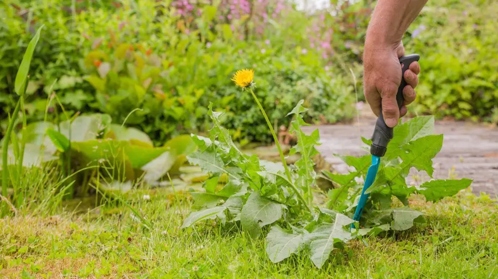 voorbereiden grasmaaien technieken en tips