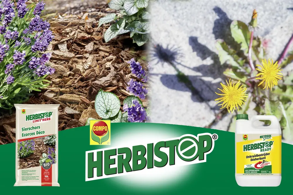 HERBISTOP TEGEN ONKRUID