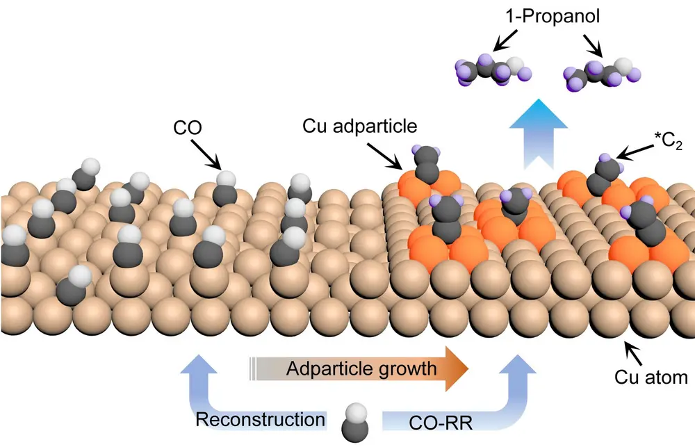 Kopernanodeeltjes (‘adparticles’) op een koperoppervlak verhogen de CO-bindingsenergie en stabiliseren de C2-intermediairen stabiliseren, waarmee ze de koppeling van CO en C2-intermediairen mogelijk maken om C3-producten (voornamelijk n-propanol) te vormen