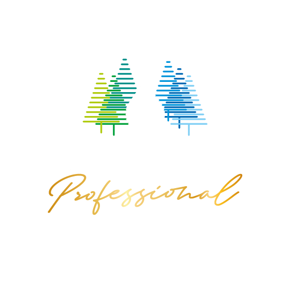 Logo Solarec