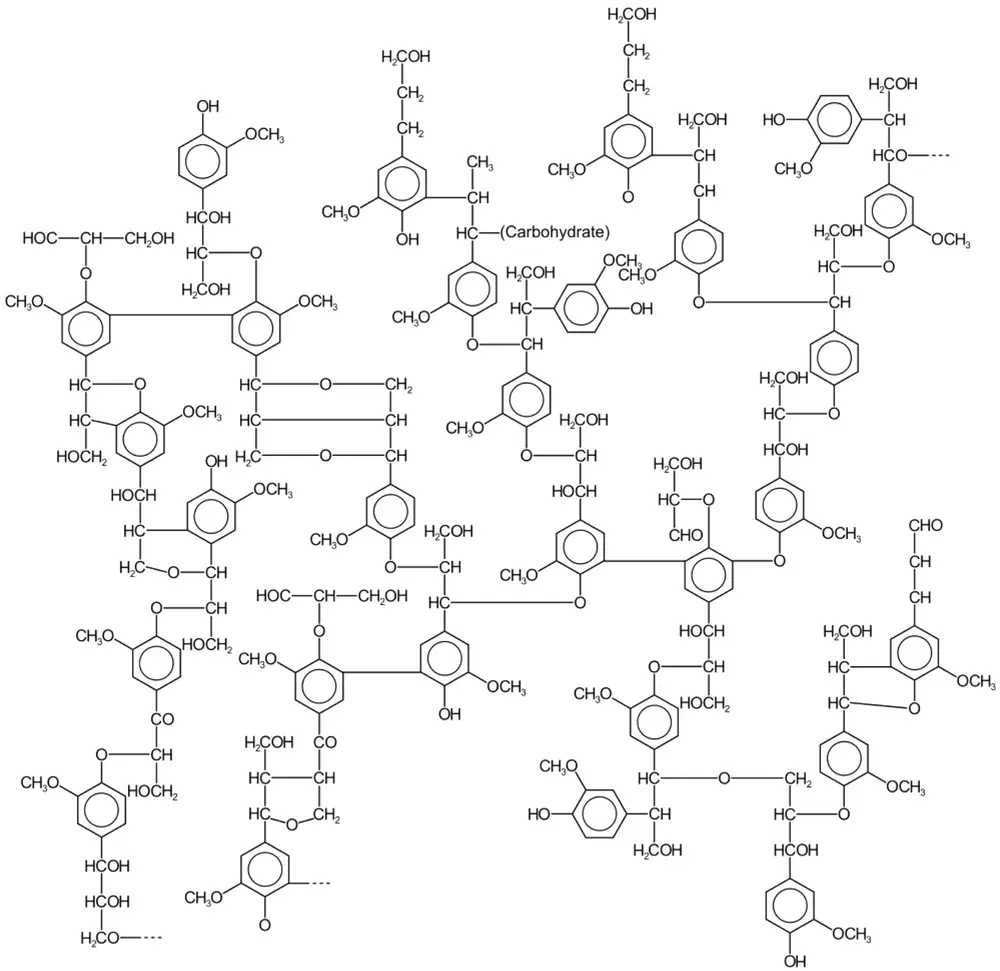 Mogelijke ligninestructuur (excl. ‘koolhydraten’) met 28 monomeren, voornamelijk coniferylalcoholen