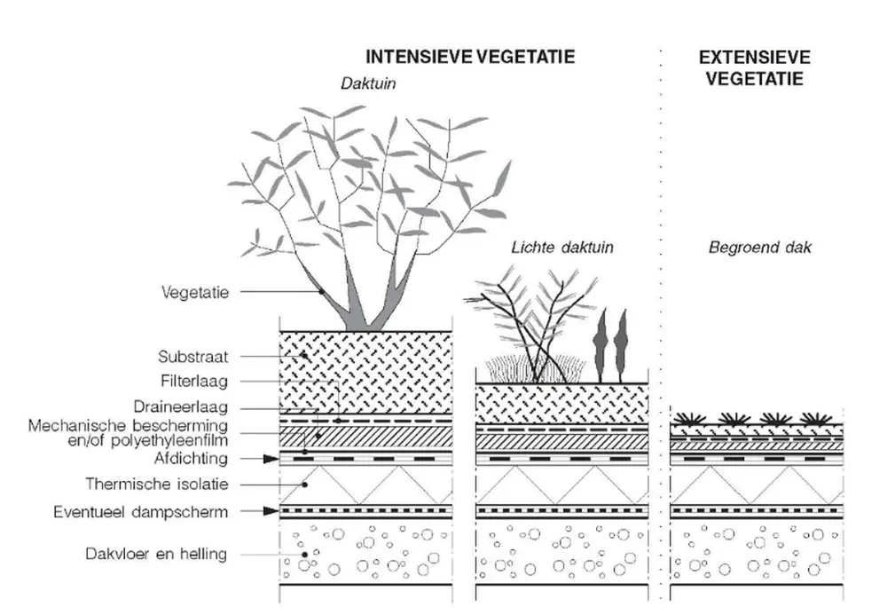 opbouw groendak daktuin