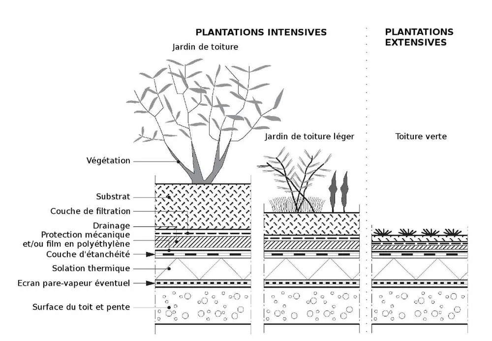 plantation construction