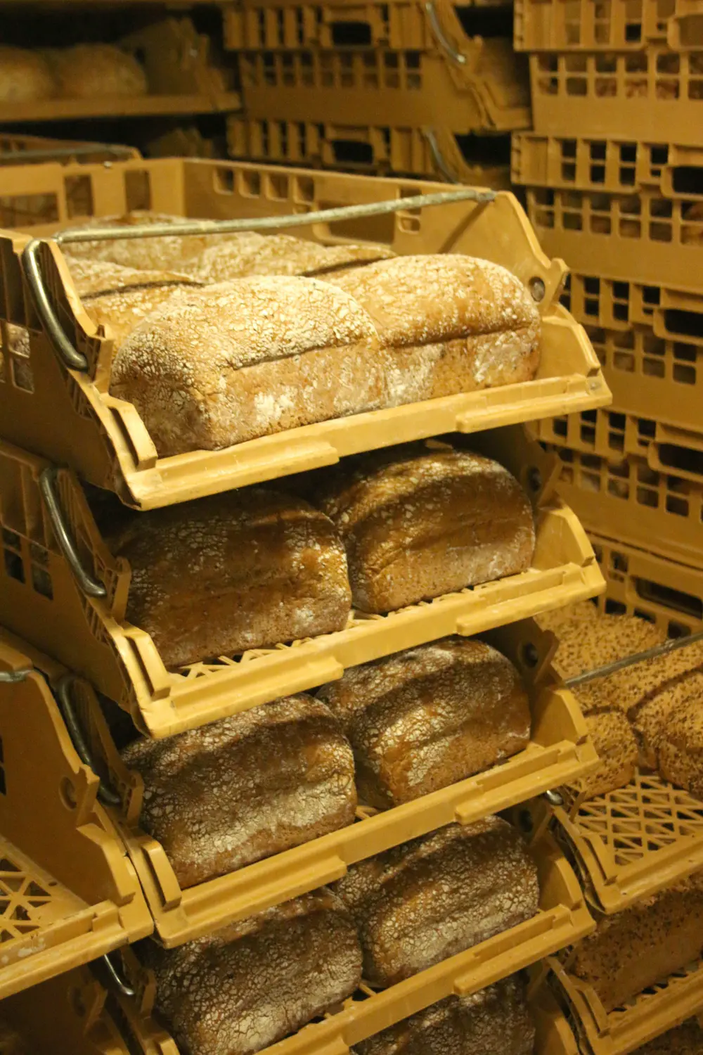 flexbaker