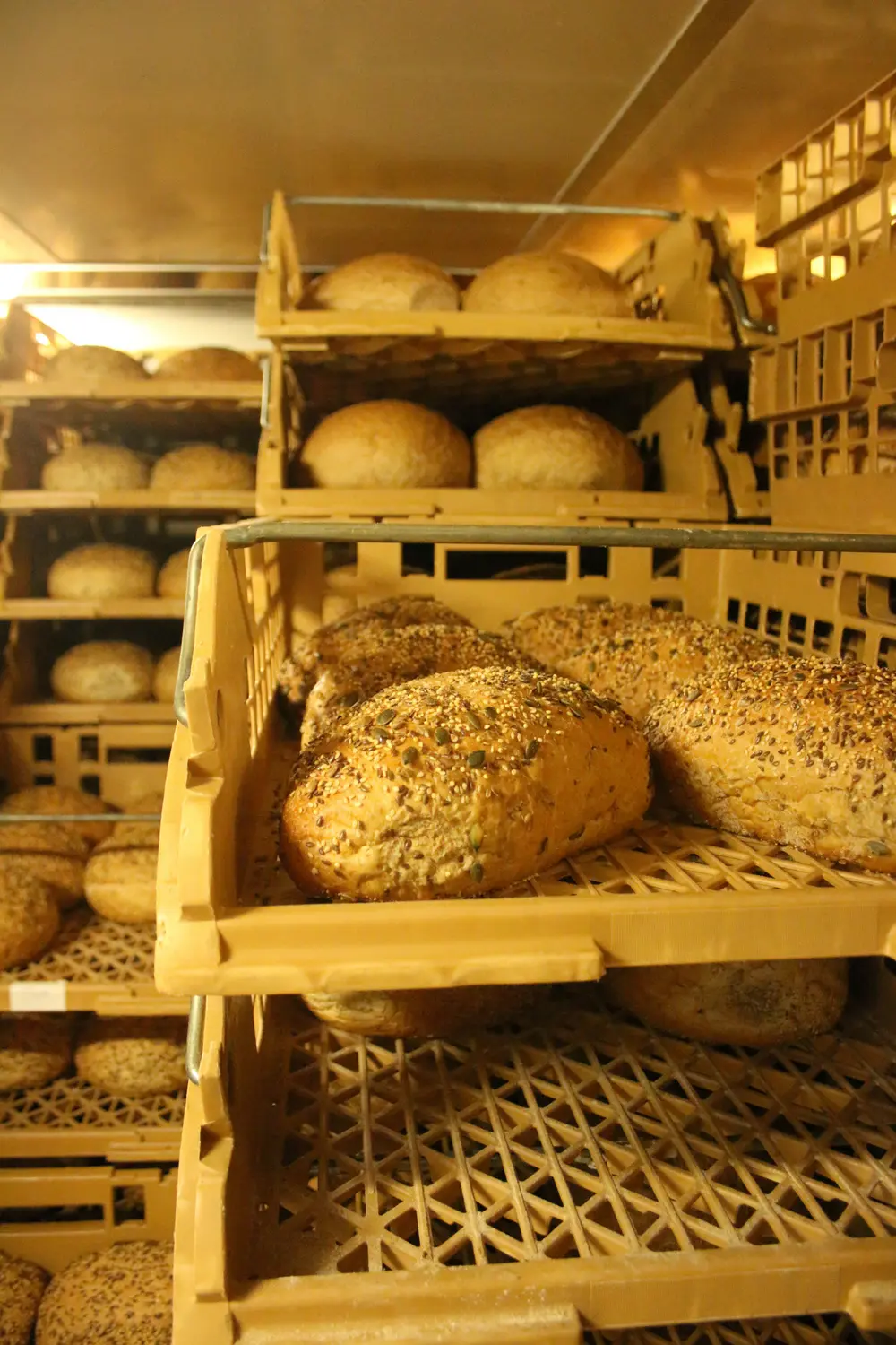 flexbaker