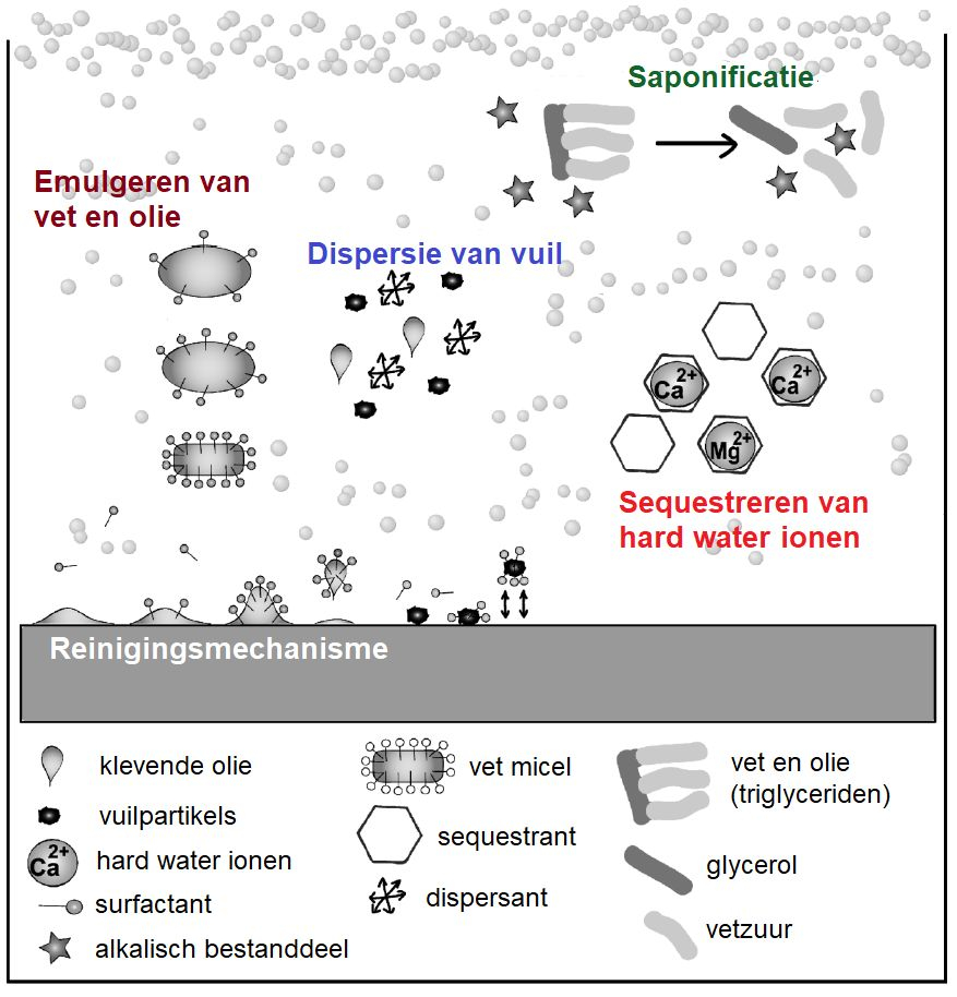 Activiteit van alkalische detergensformuleringen