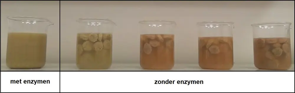 Effect van enzymen op levensmiddelen (foto: Realco)
