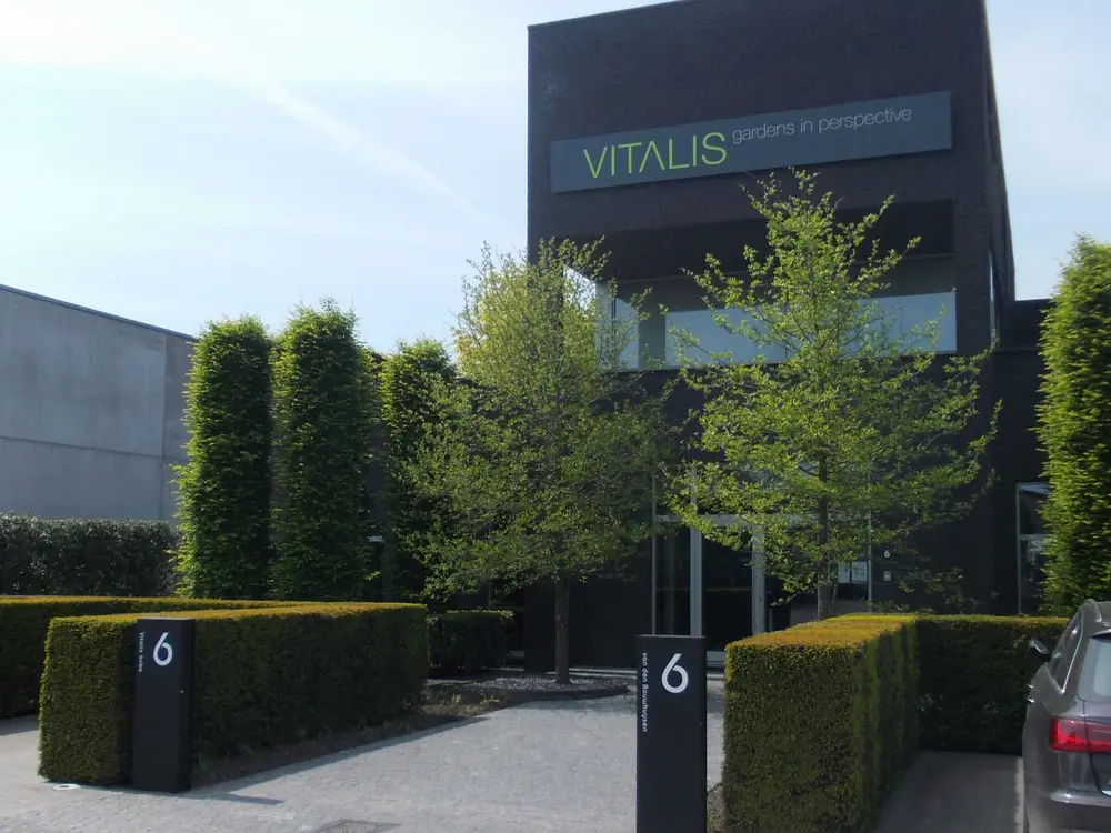 Vitalis