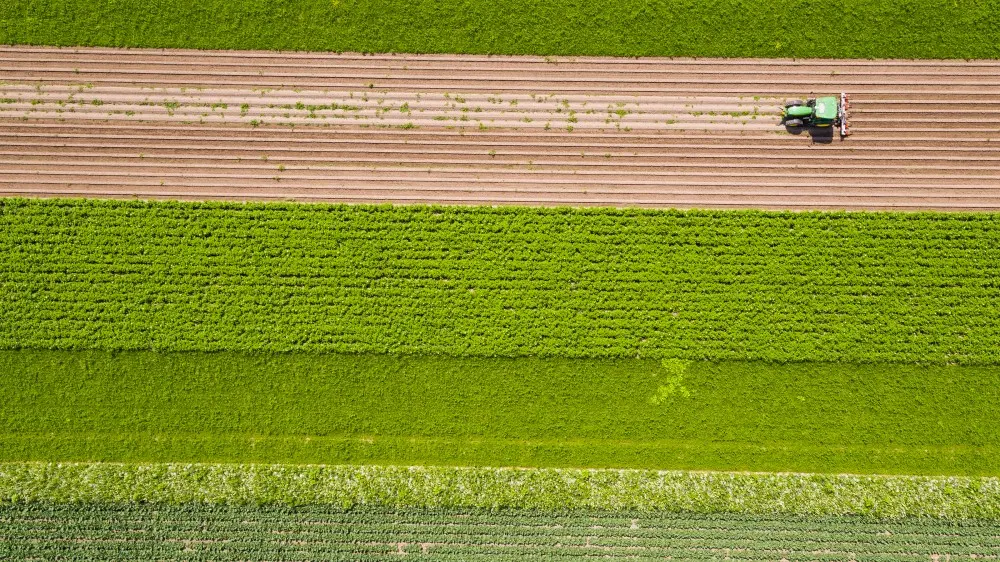 strip cropping