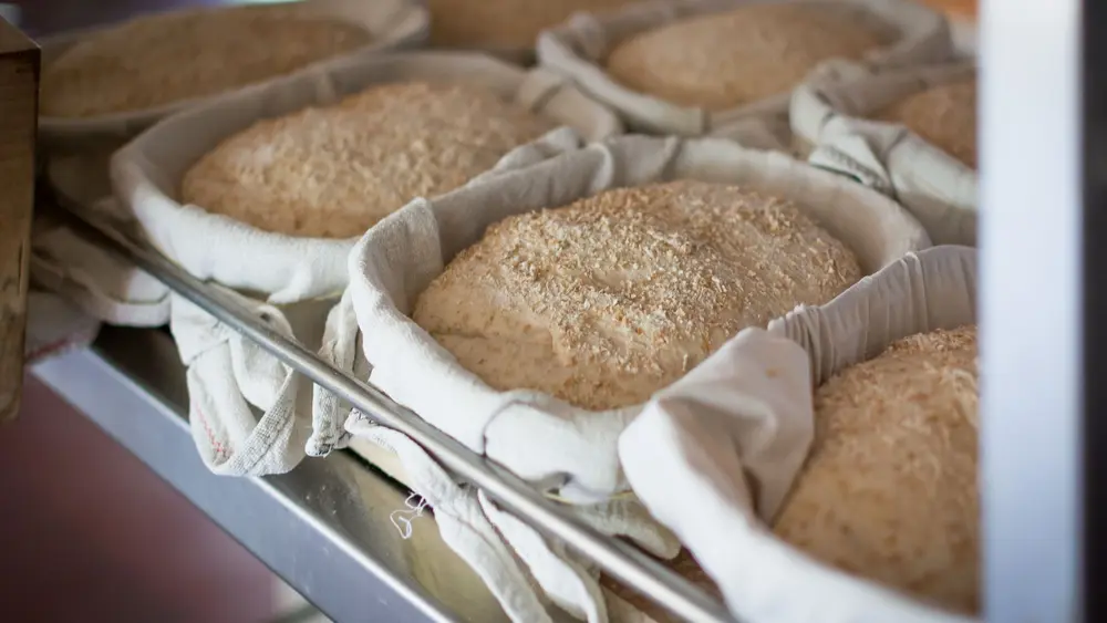 brood