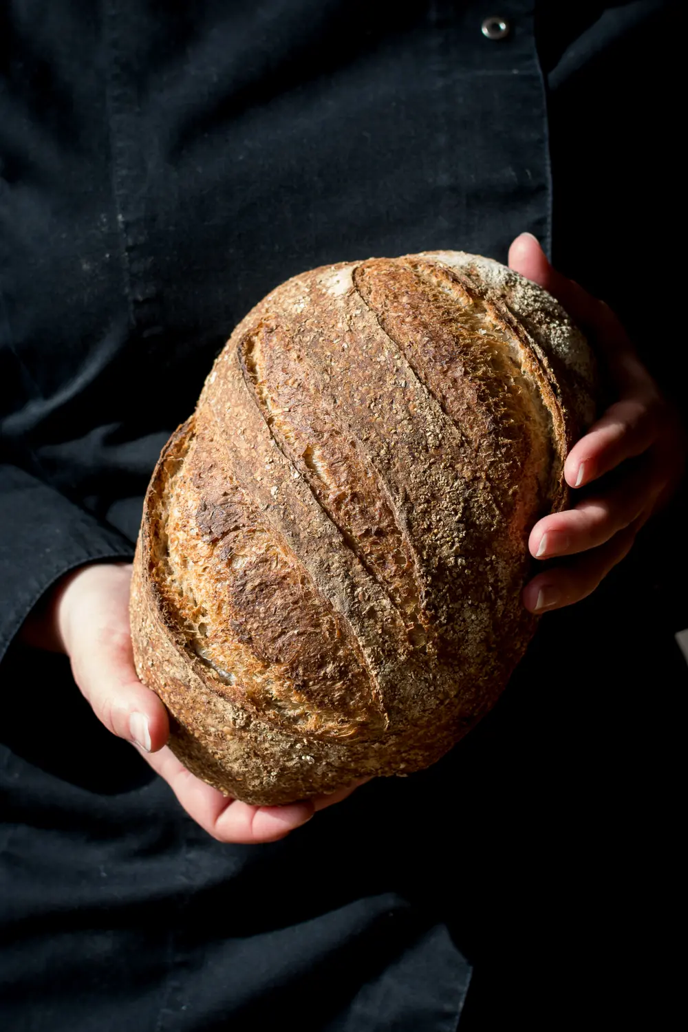 brood
