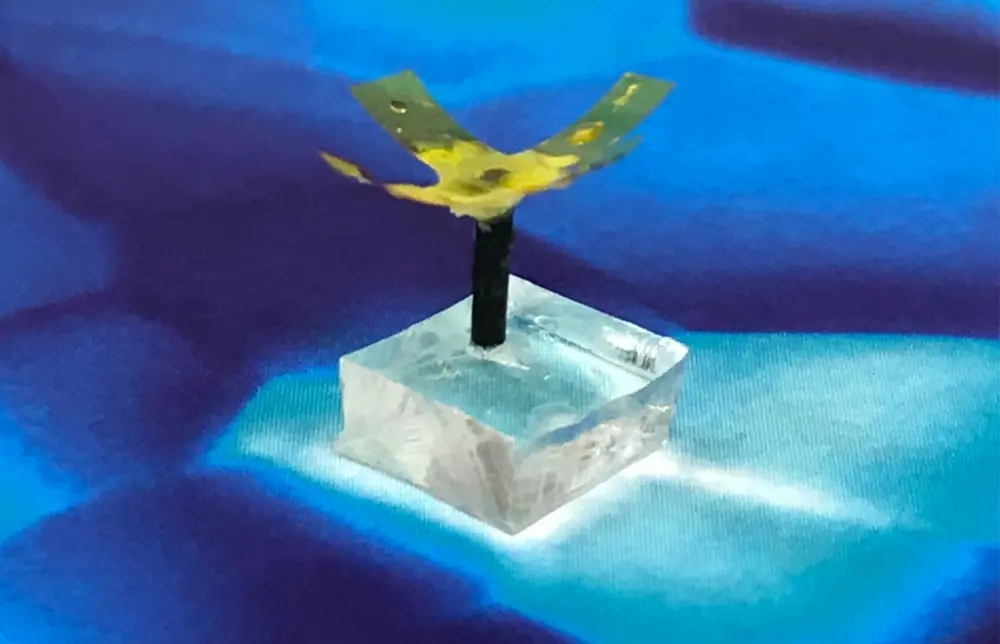 minirobot Marina Pils Da Cunha
