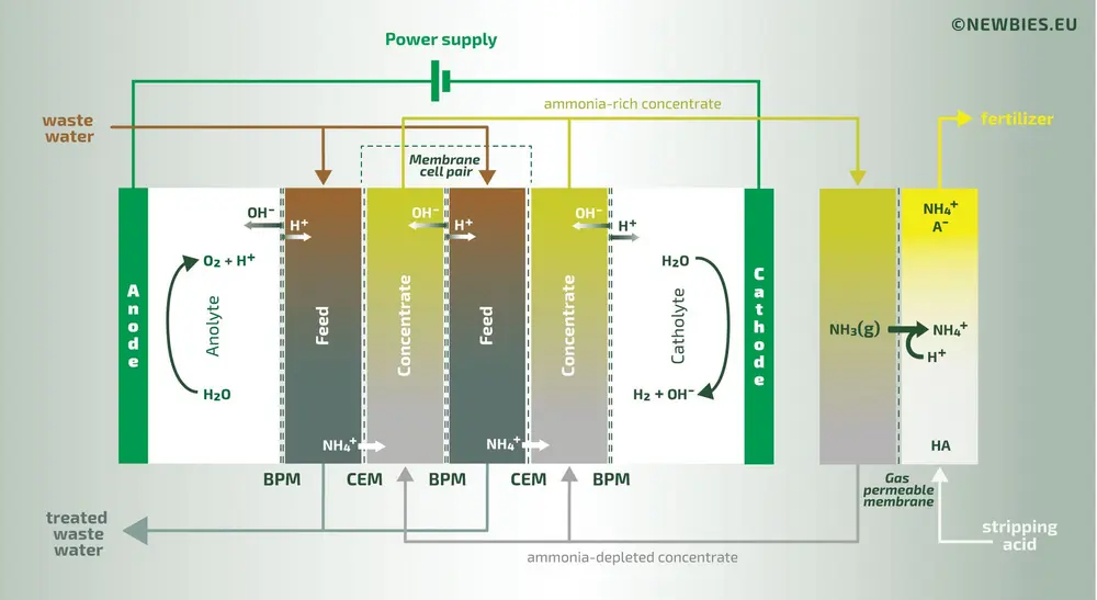 newbies processen elektrodialysereactor 