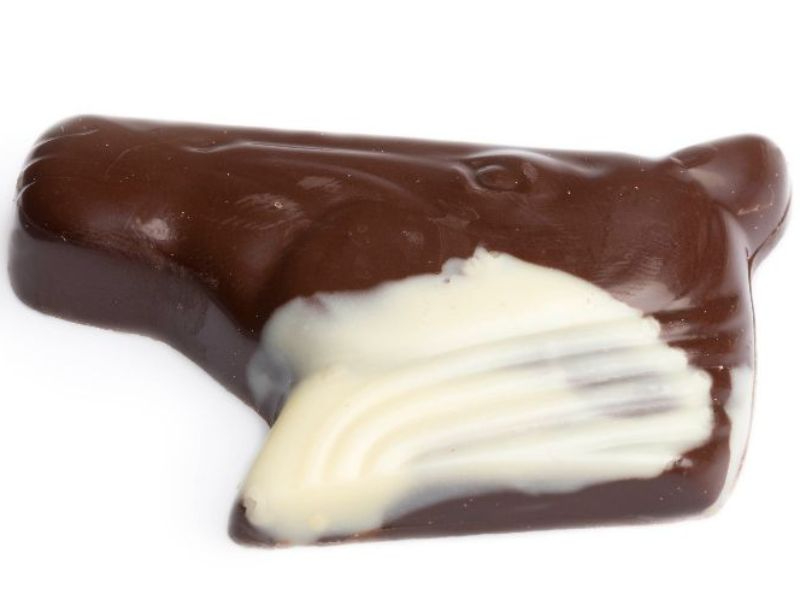 Pardenkoppraline Chocolatier Vandenbulcke