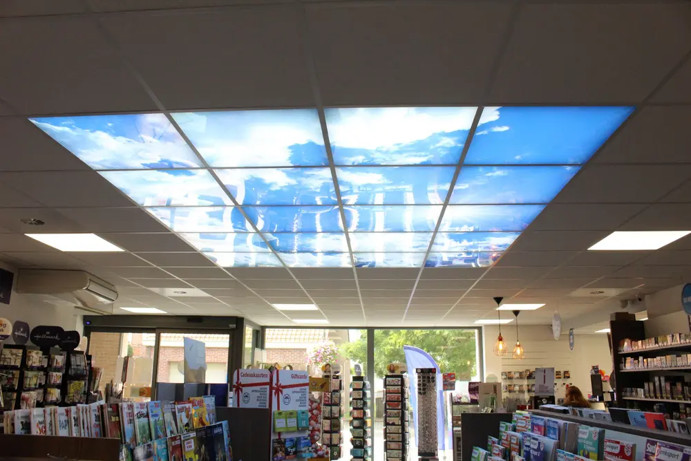 dagbladhandel dimitri