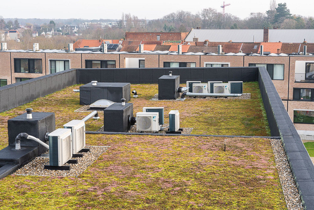 Groendak Gent warmte