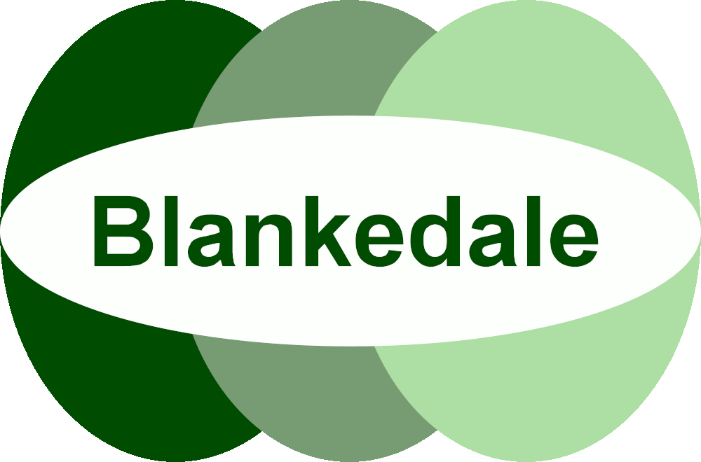 Logo - BLANKEDALE