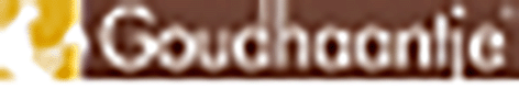 VAN DAM\'S KWASTENFABRIEK