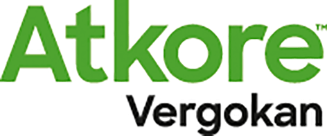 Logo - VERGOKAN